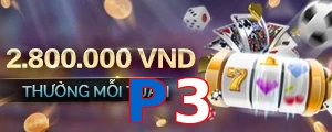 P3