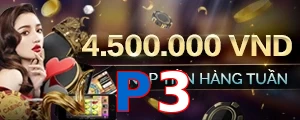 P3