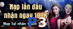 P3